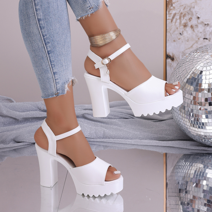 Platform Chunky Heel Ankle Strap Sandals